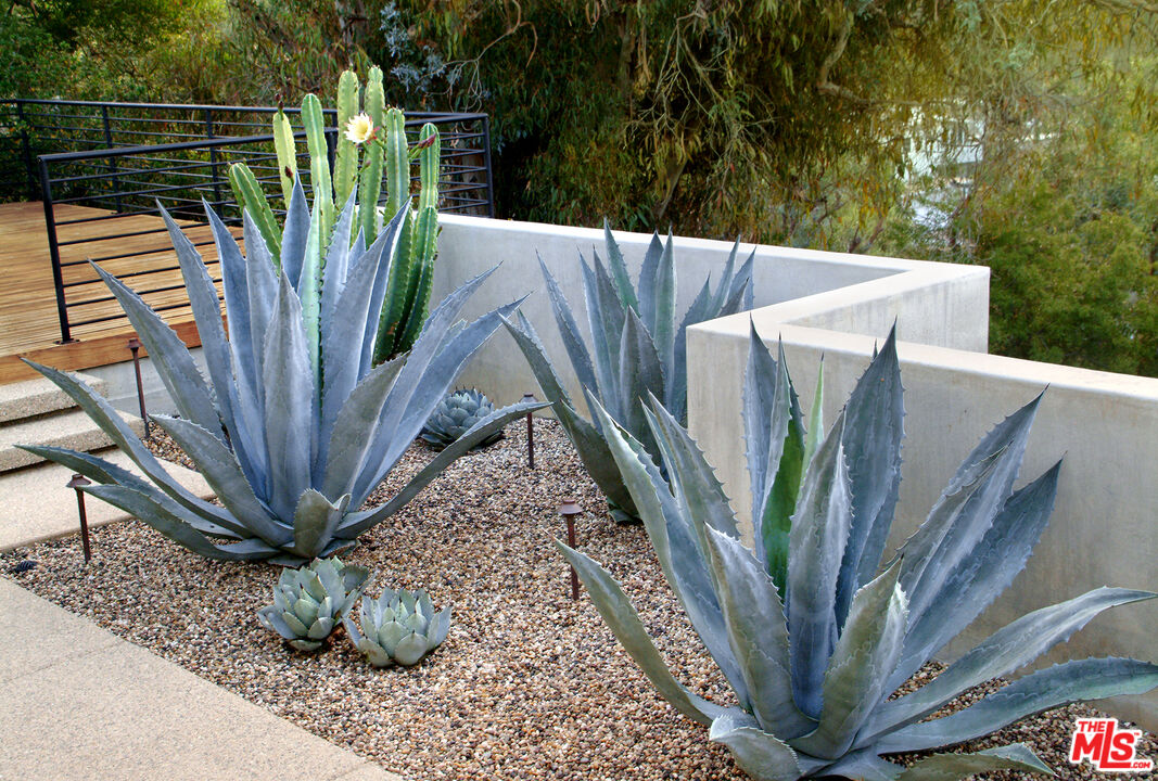 357 North Skyewiay Road Los Angeles, CA 90049 - Photo 4 of 21 a view of a potted plants with wooden fence