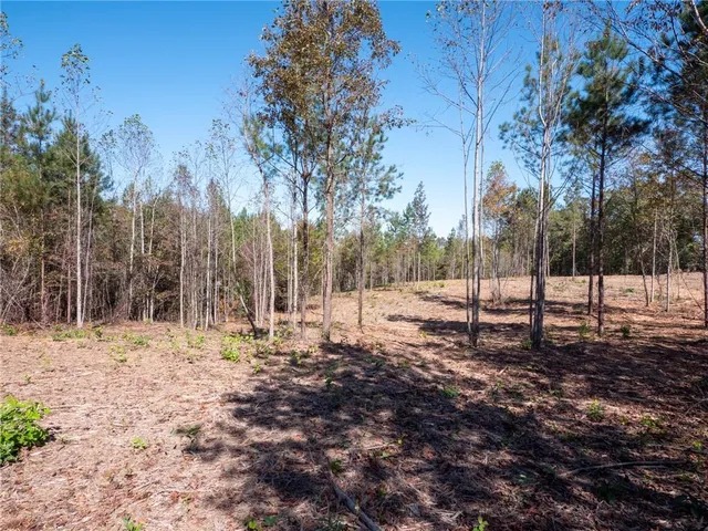 a view of a yard covered in snow