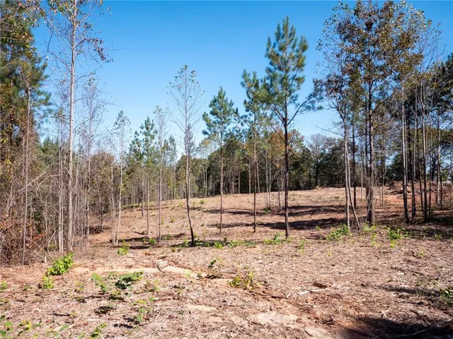 $60,000 | 939 West Leatherwood Road, Toccoa, GA 30577