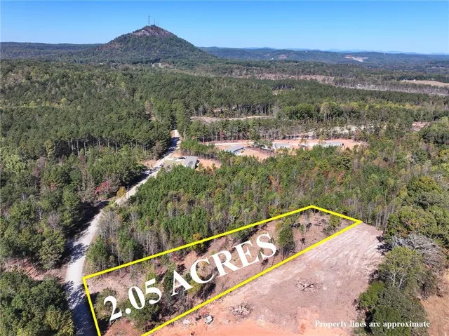 a view of a lush green hillside and a mountain view