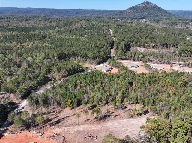 an aerial view of residential house with outdoor space