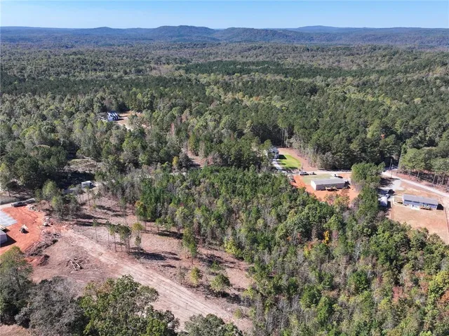 a view of a forest with a sink