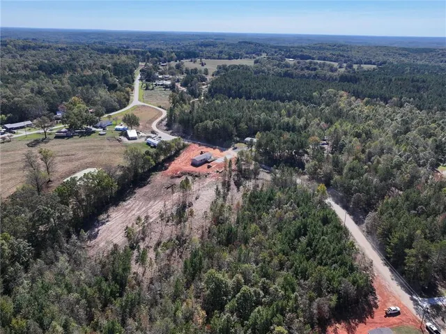 an aerial view of beach with trees