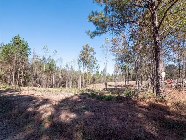a view of dirt yard with a large tree