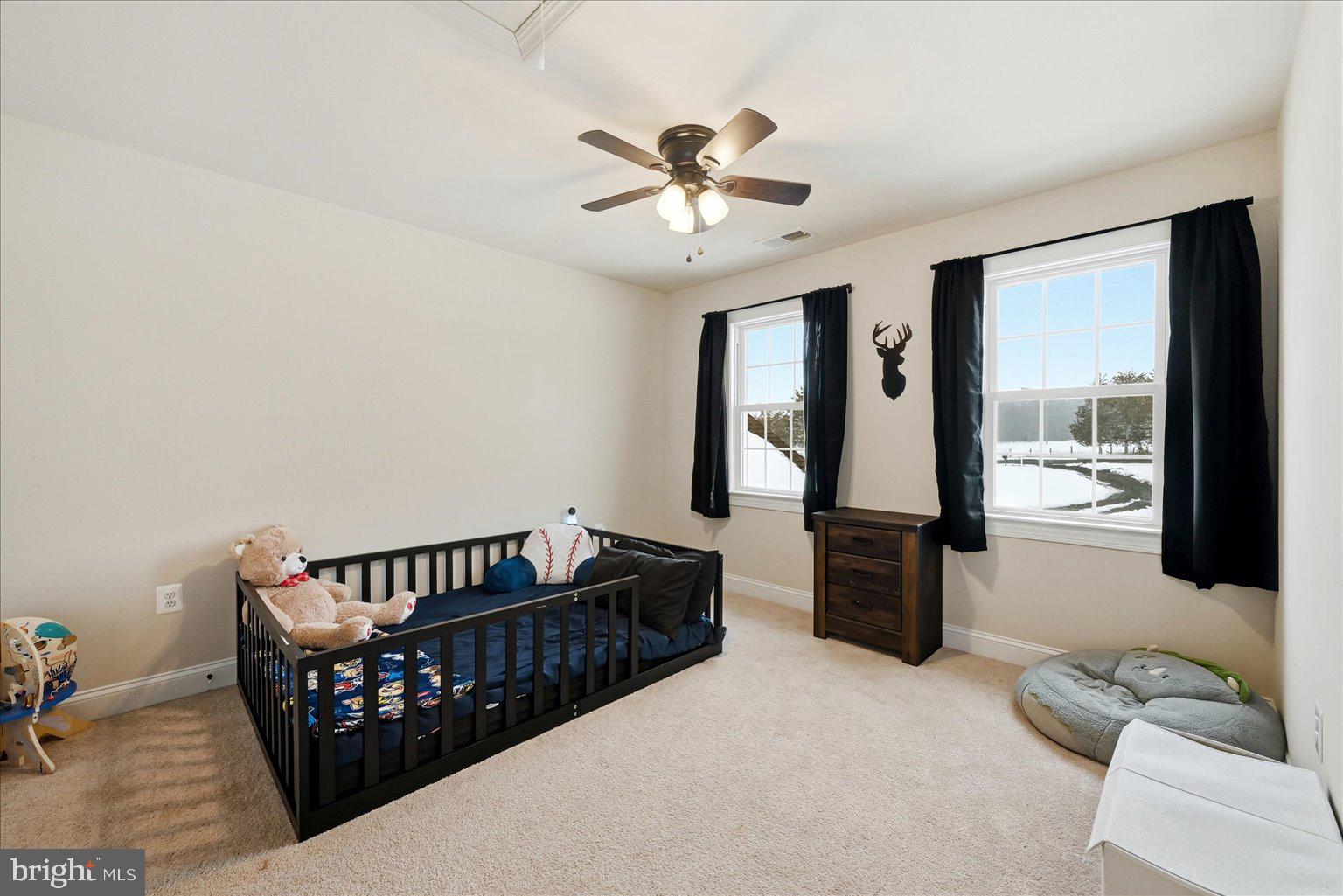 27732 Tatum Road Unionville, VA 22567 - Photo 17 of 30