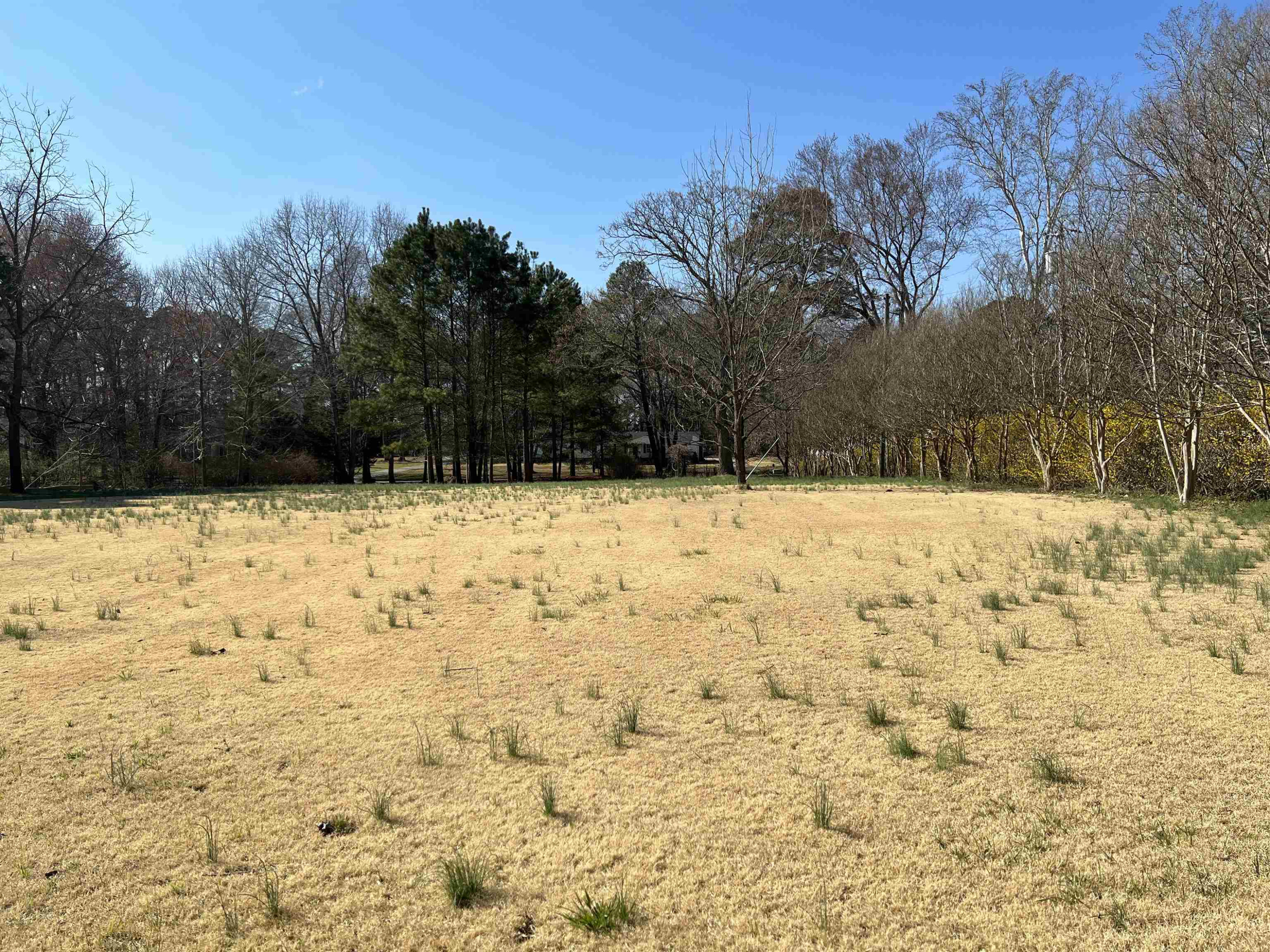 10117 Chambers Road Raleigh, NC 27603 - Photo 7 of 31 Photo 7