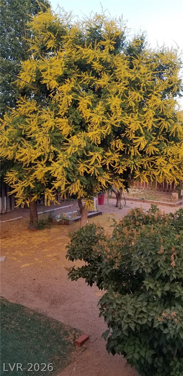 561 Main Street Caliente, NV 89008 - Photo 5 of 32 View of yard