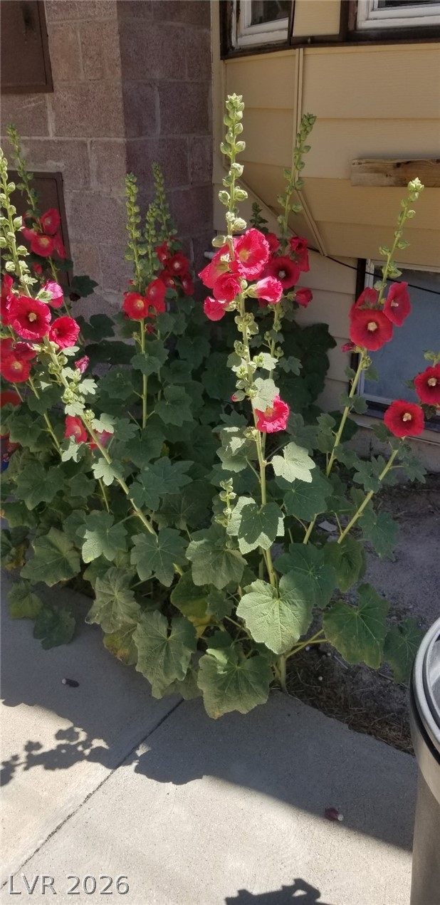 561 Main Street Caliente, NV 89008 - Photo 6 of 32