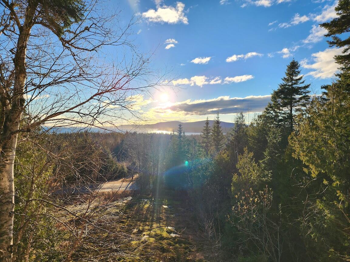 274 Summer Harbor Road Winter Harbor, ME 04693 - Photo 7 of 23 20231127_150047 (1)