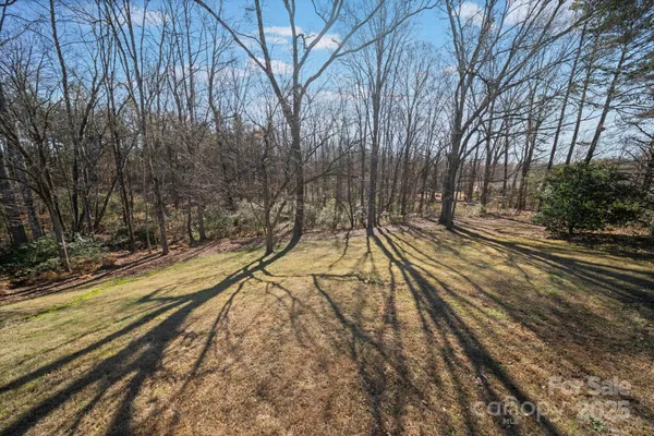 a view of a yard with trees
