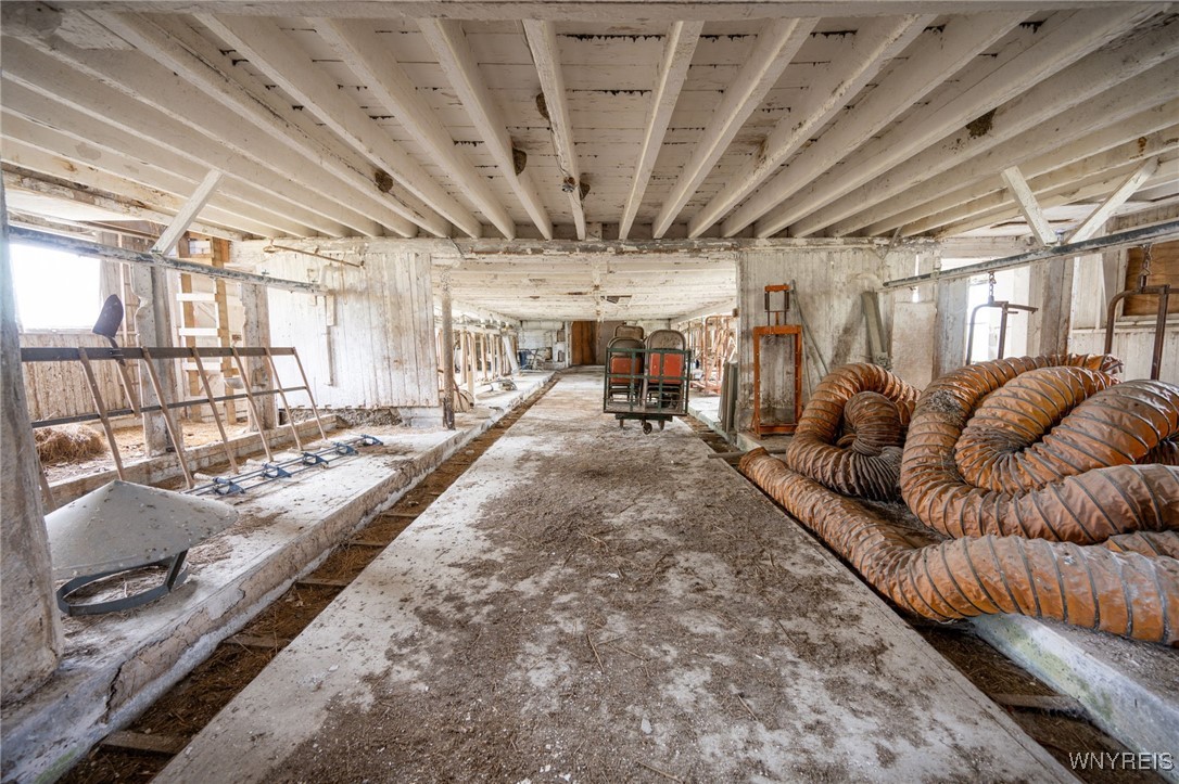 13050 Big Tree Road Wales, NY 14037 - Photo 33 of 50 Dairy Barn interior
