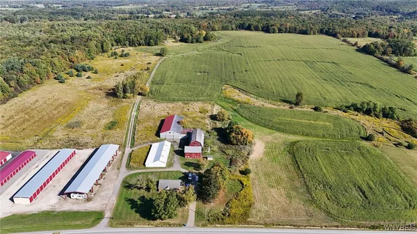 $749,900 | 13050 Big Tree Road, Wales, NY 14037