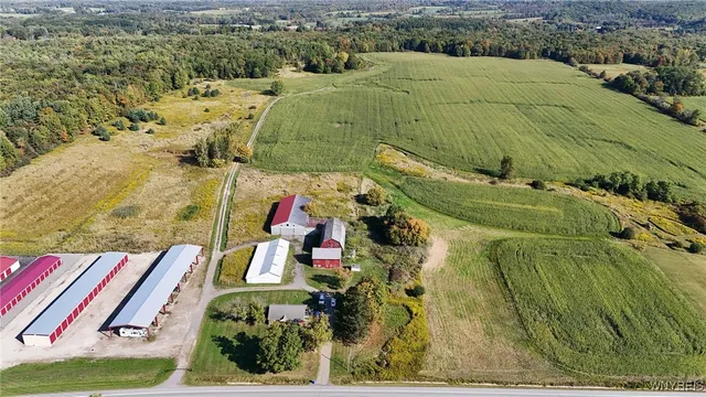 $749,900 | 13050 Big Tree Road, Wales, NY 14037