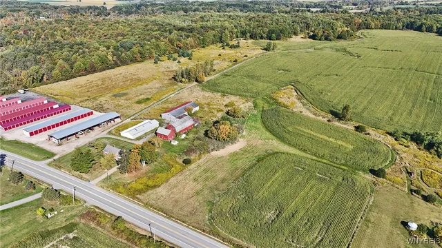 $749,900 | 13050 Big Tree Road, Wales, NY 14037