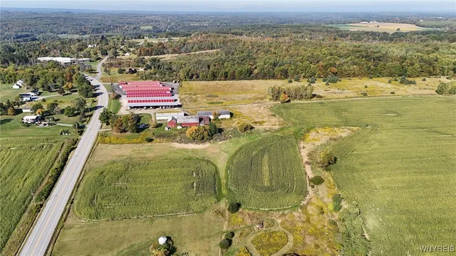 $749,900 | 13050 Big Tree Road, Wales, NY 14037