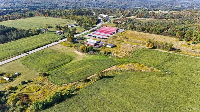 $749,900 | 13050 Big Tree Road, Wales, NY 14037