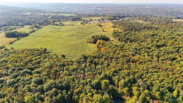 $749,900 | 13050 Big Tree Road, Wales, NY 14037