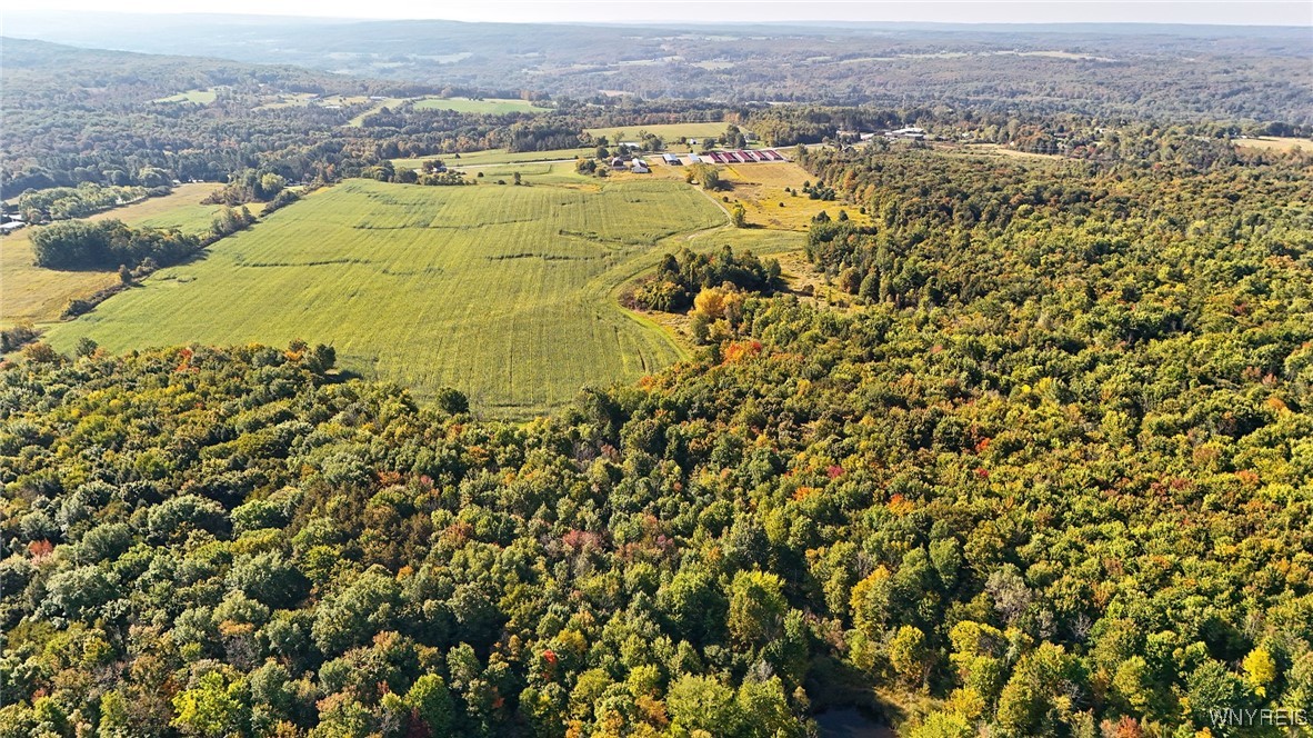 13050 Big Tree Road Wales, NY 14037 - Photo 40 of 50