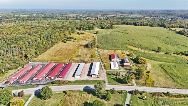 $749,900 | 13050 Big Tree Road, Wales, NY 14037