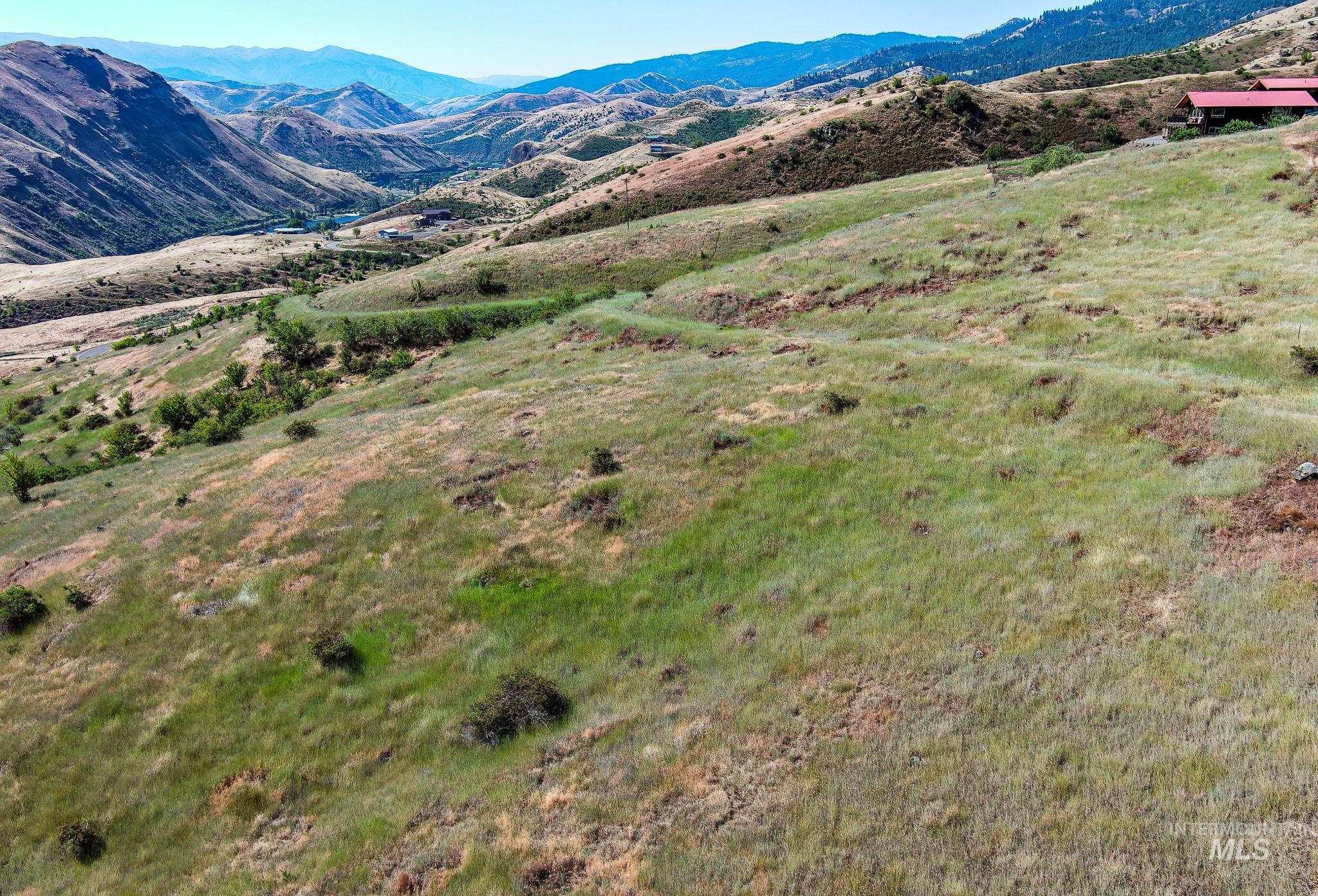 Tbd Tbd Doumecq Road White Bird, ID 83554 - Photo 9 of 17