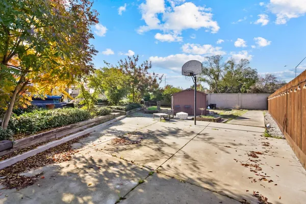 a view of a yard with plants and a bench