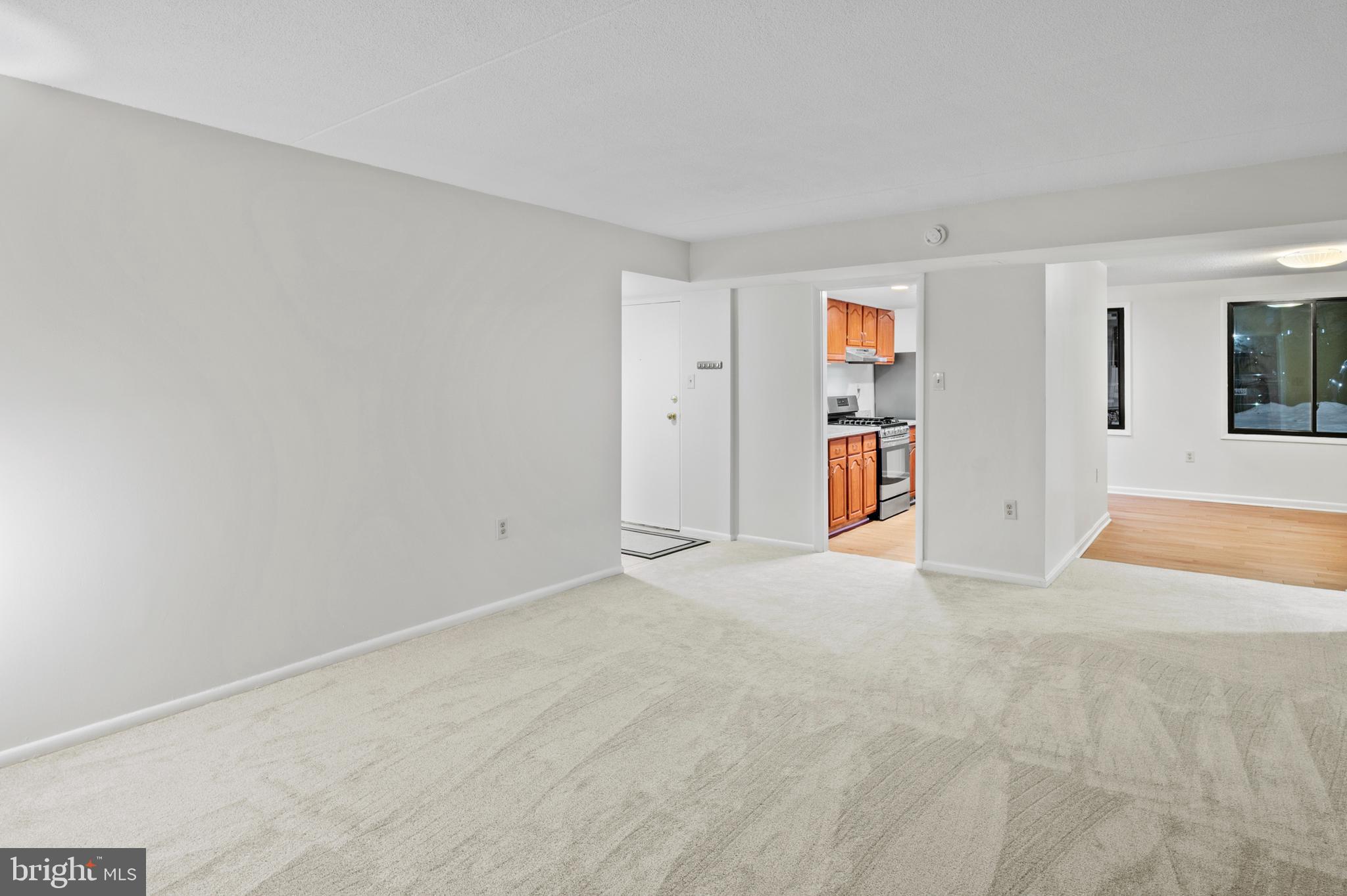 5232 West Running Brook Road, Unit 101 Columbia, MD 21044 - Photo 6 of 39 Living Room (alt view)