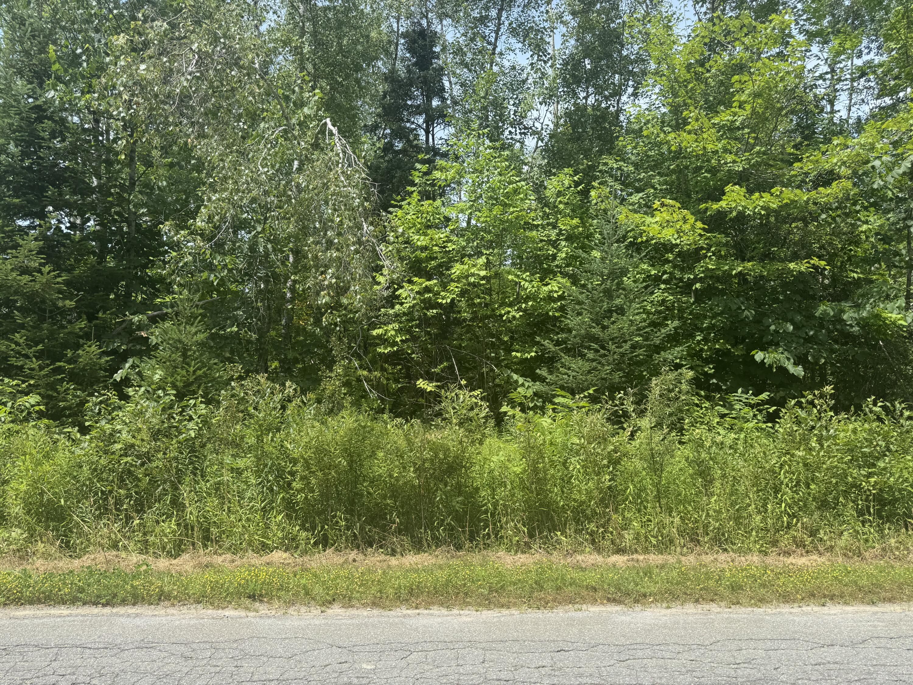 IMG_0577