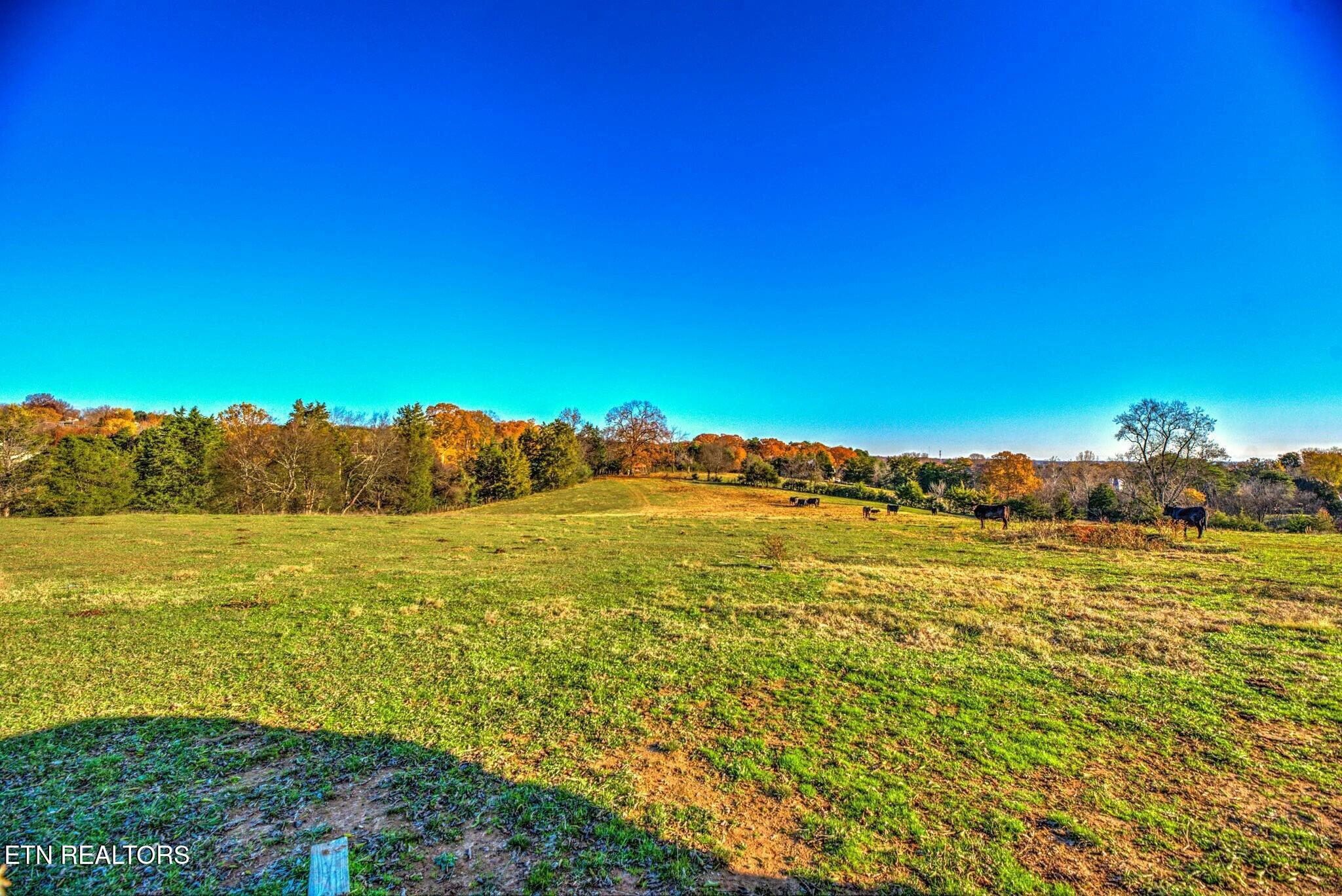 11546 Snyder Road Knoxville, TN 37932 - Photo 5 of 14 tempImageDxJeaZ