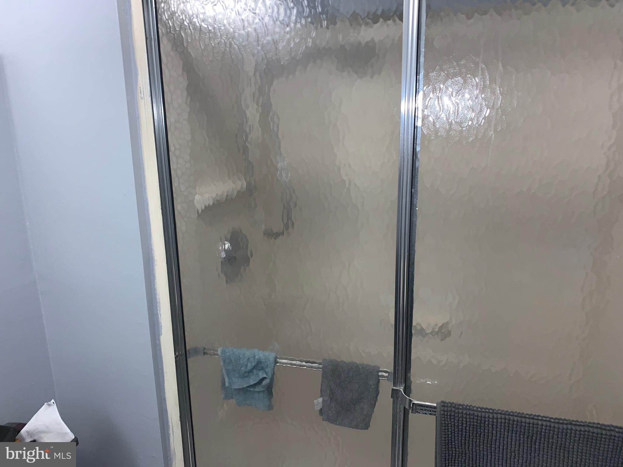 1608 Huntingdon Mews Clementon, NJ 08021 - Photo 12 of 12 Master Shower