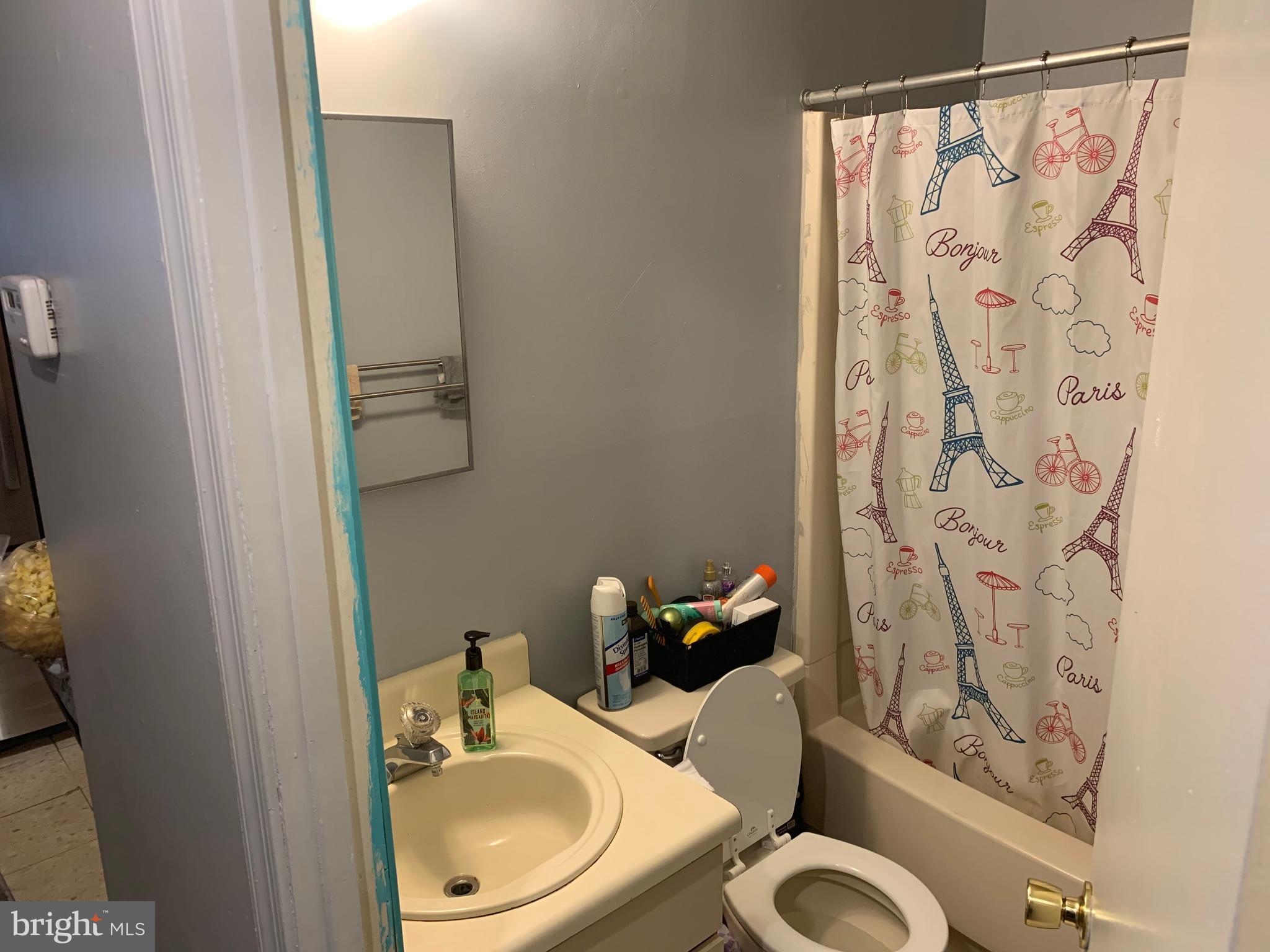 1608 Huntingdon Mews Clementon, NJ 08021 - Photo 7 of 12 Primary Bathroom