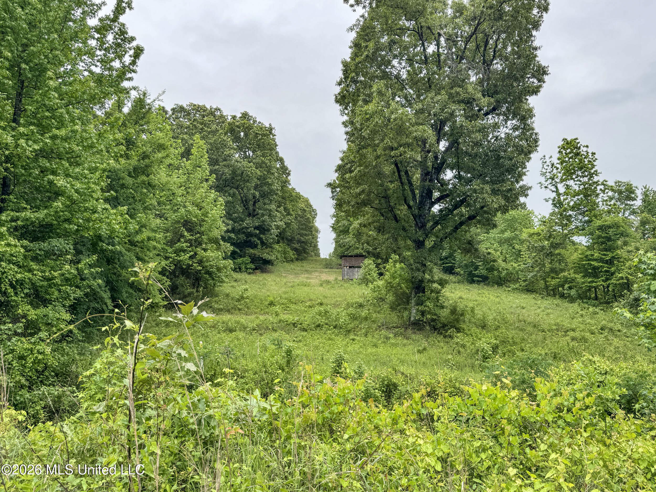 Wayne Massie Road Como, MS 38619 - Photo 125 of 184 5cdtbs63