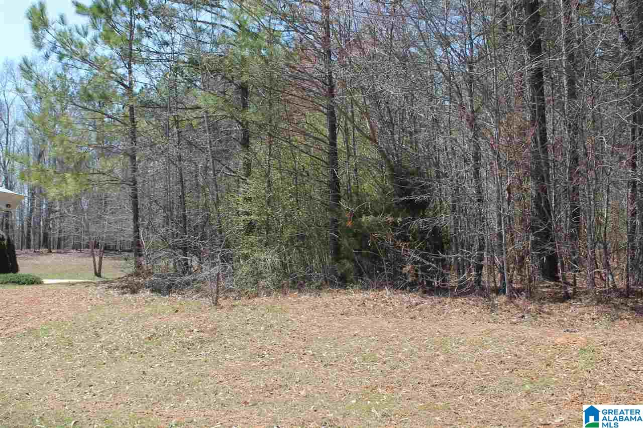 0 Clarendon Road, Unit LOT #65 Cullman, AL 35057 - Photo 4 of 7