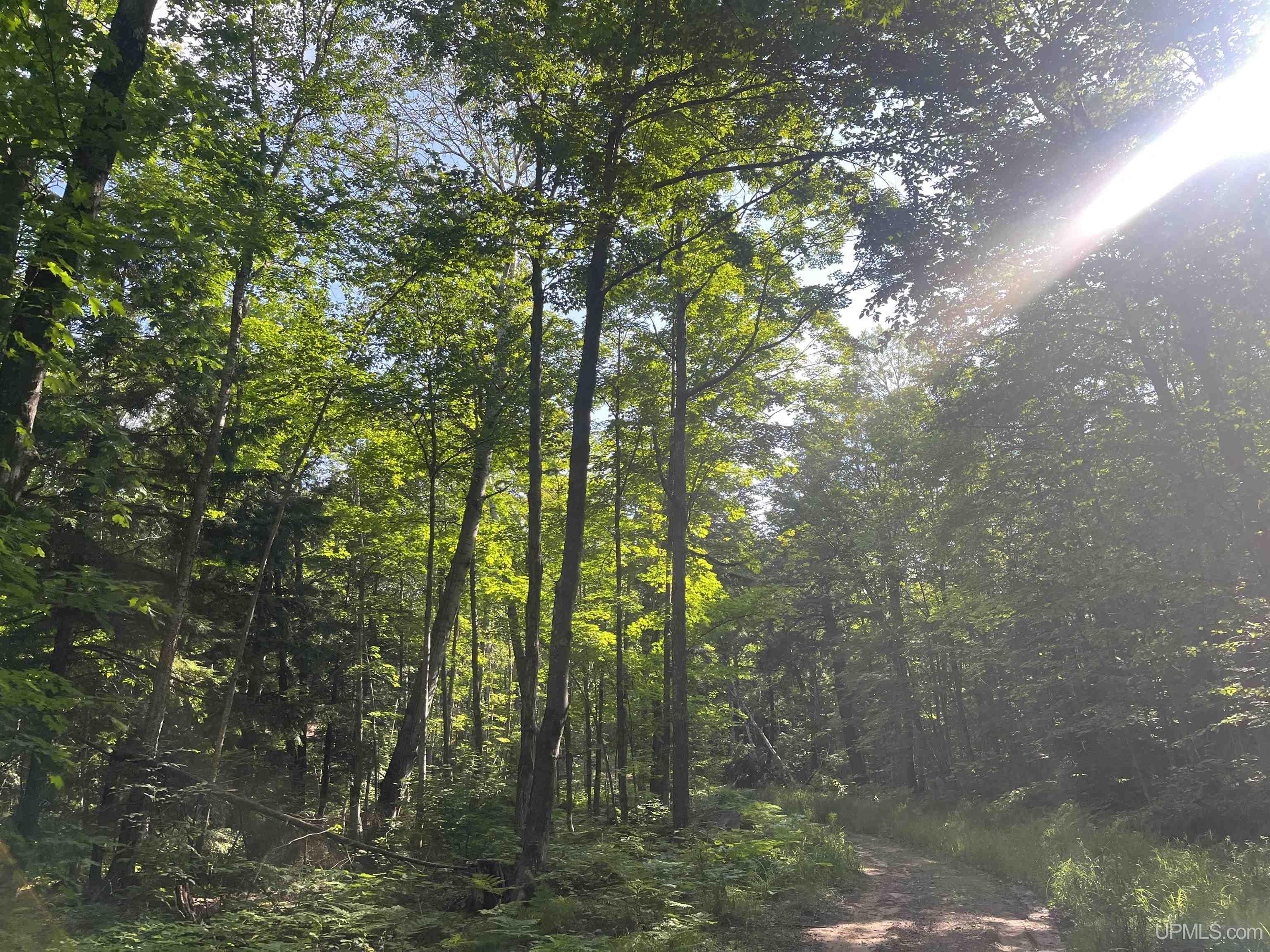 510 Rd Ishpeming Mi 49849 Road Negaunee, MI 49866 - Photo 2 of 33