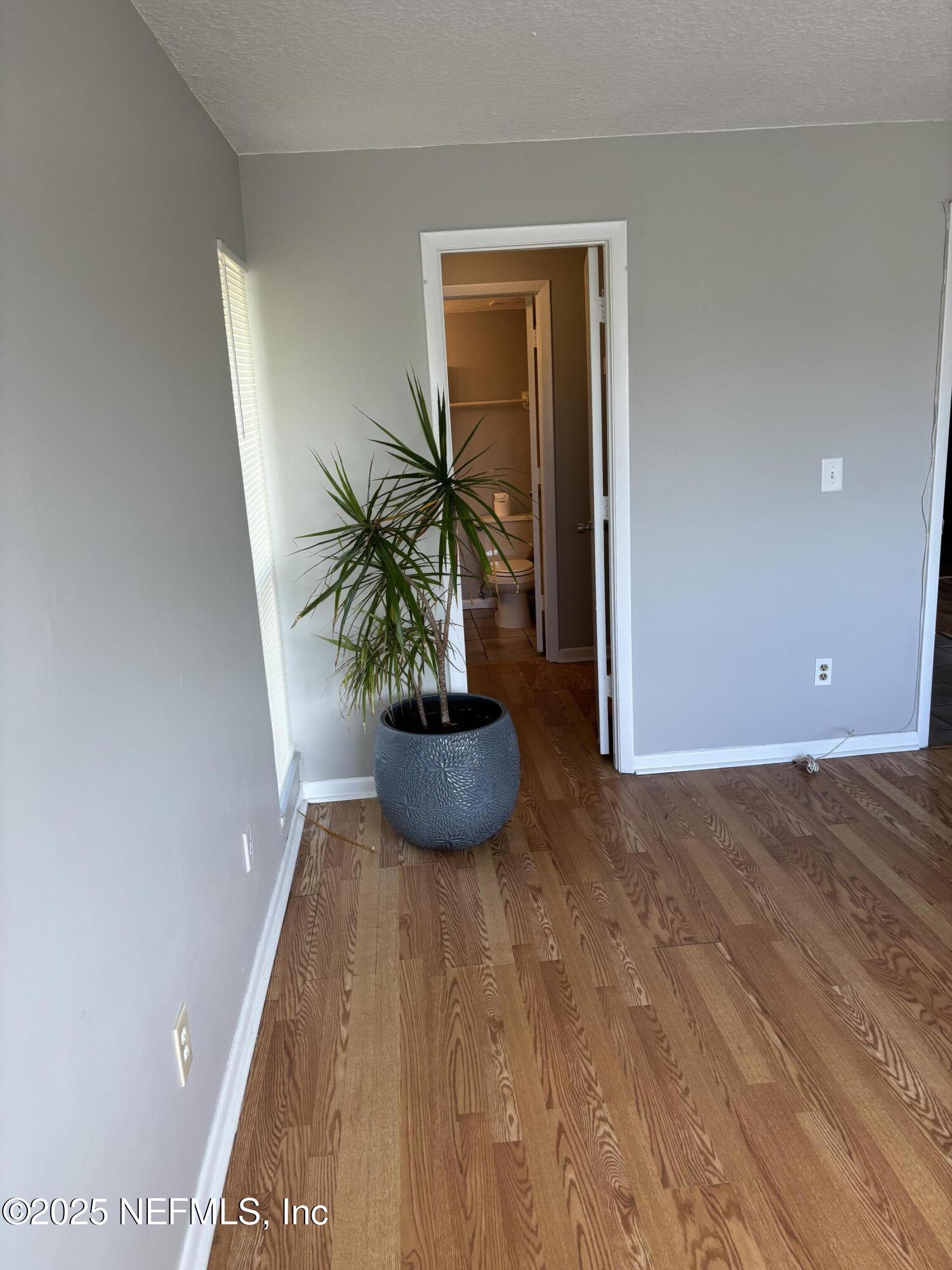 1000 3rd Street, Unit D Neptune Beach, FL 32266 - Photo 26 of 46 a view of a potted plant in a room