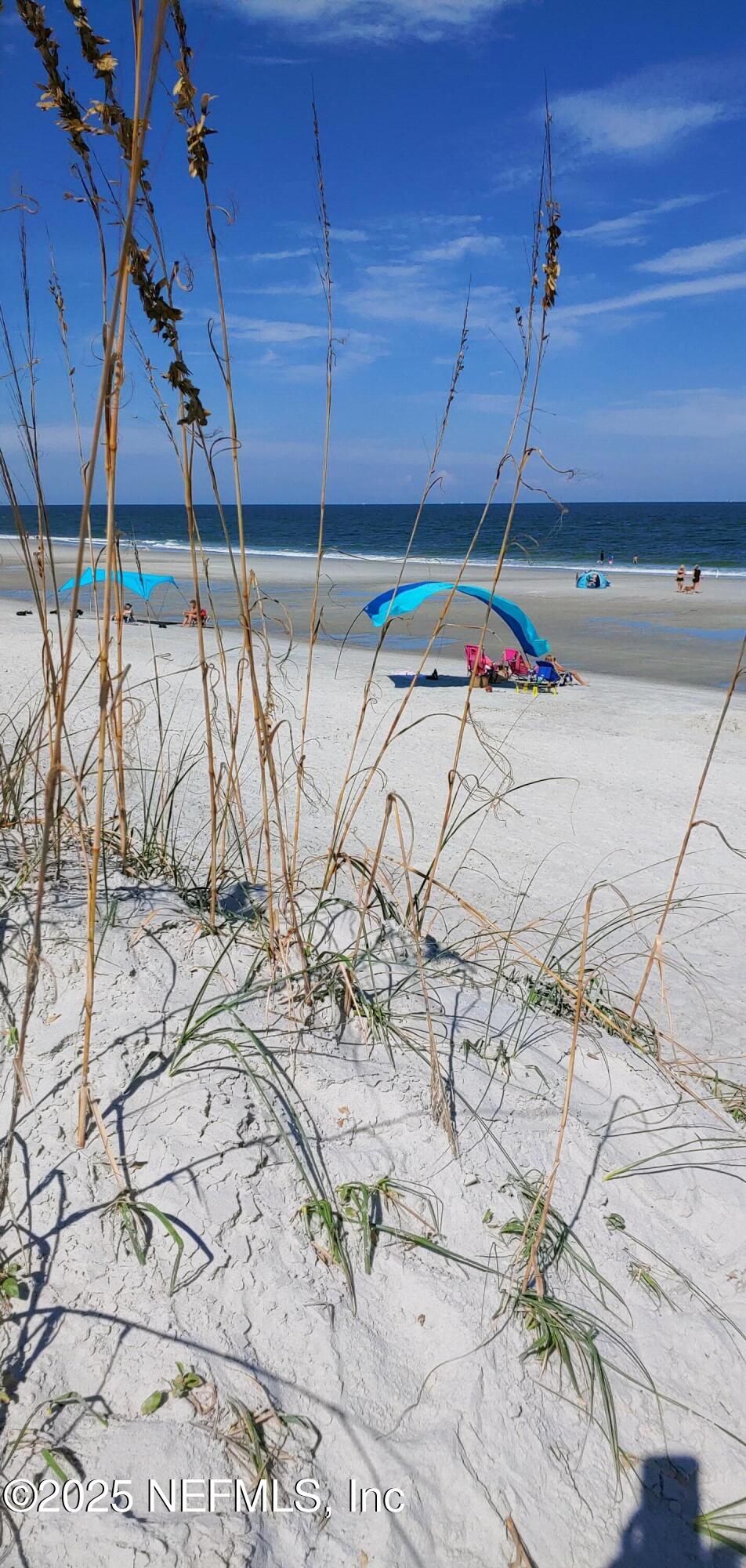 1000 3rd Street, Unit D Neptune Beach, FL 32266 - Photo 5 of 46 20221009_152125