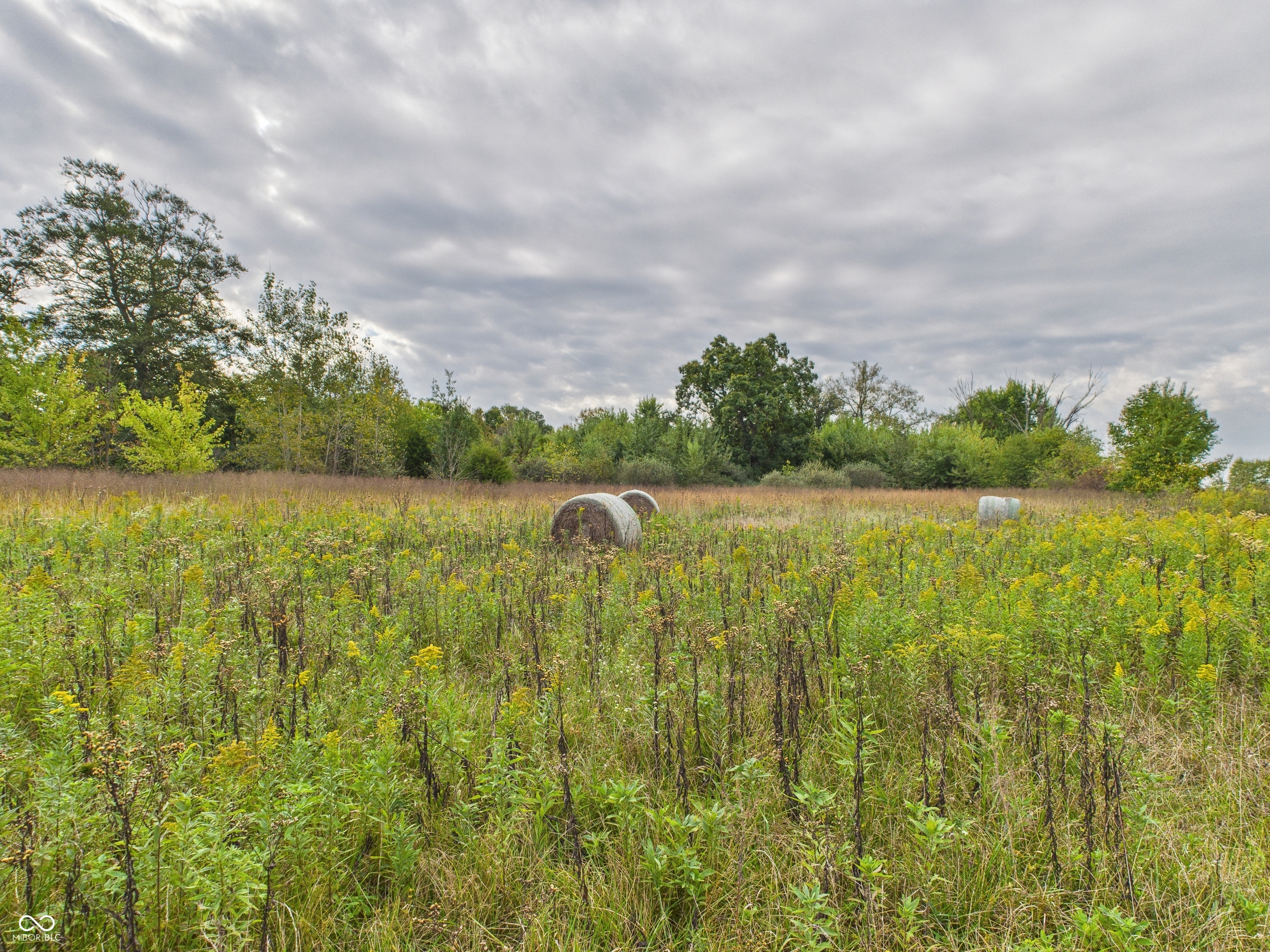 1000 East North Pendleton, IN 46064 - Photo 14 of 27