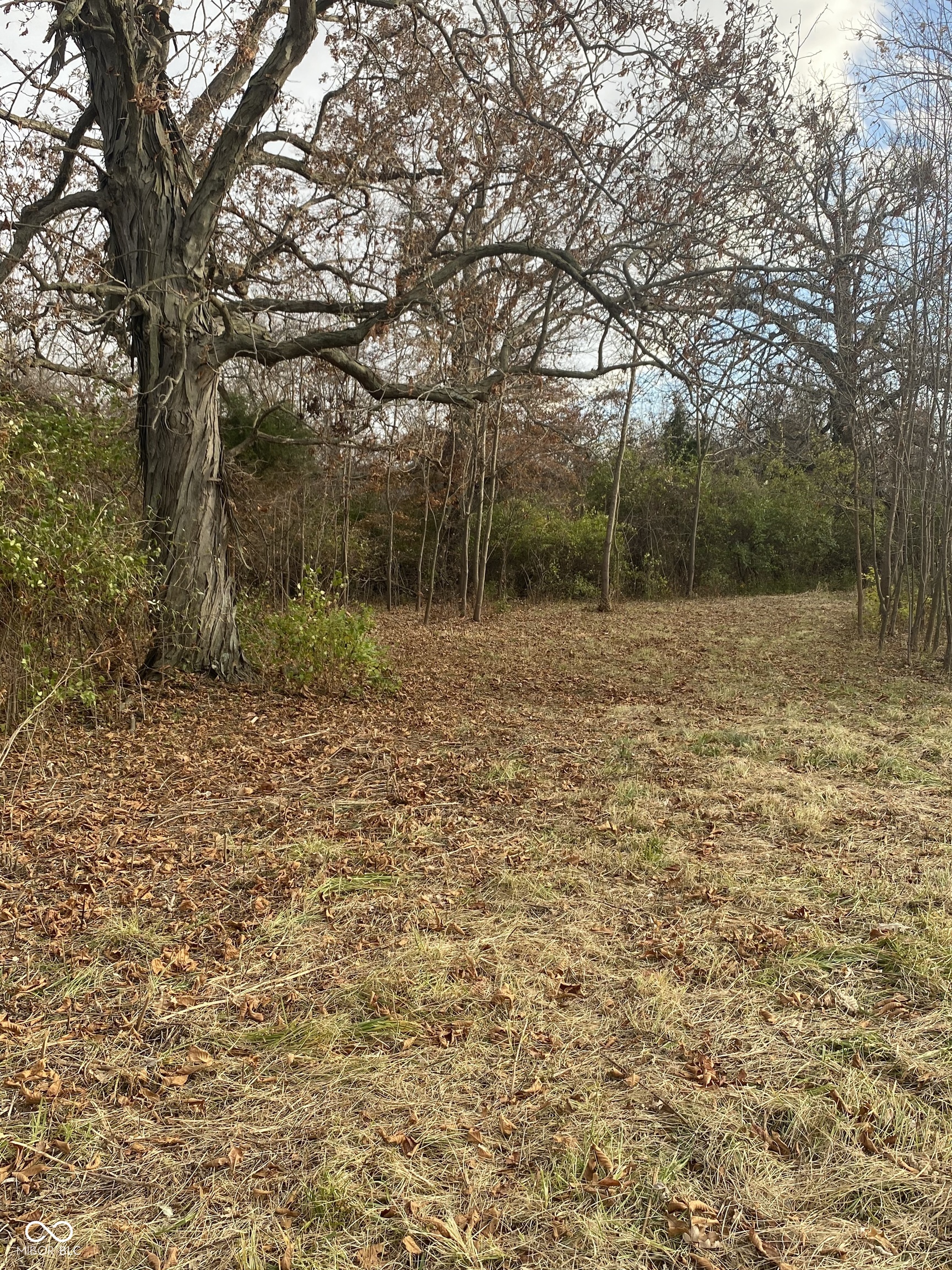 1000 East North Pendleton, IN 46064 - Photo 4 of 27