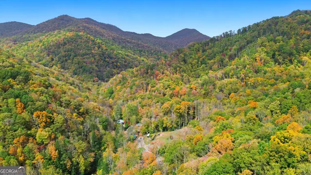a view of a lush green hillside and a houses