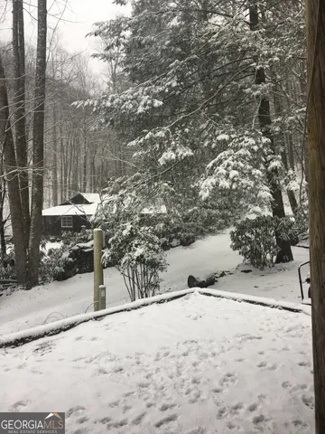 a view of large tree with snow in front of it
