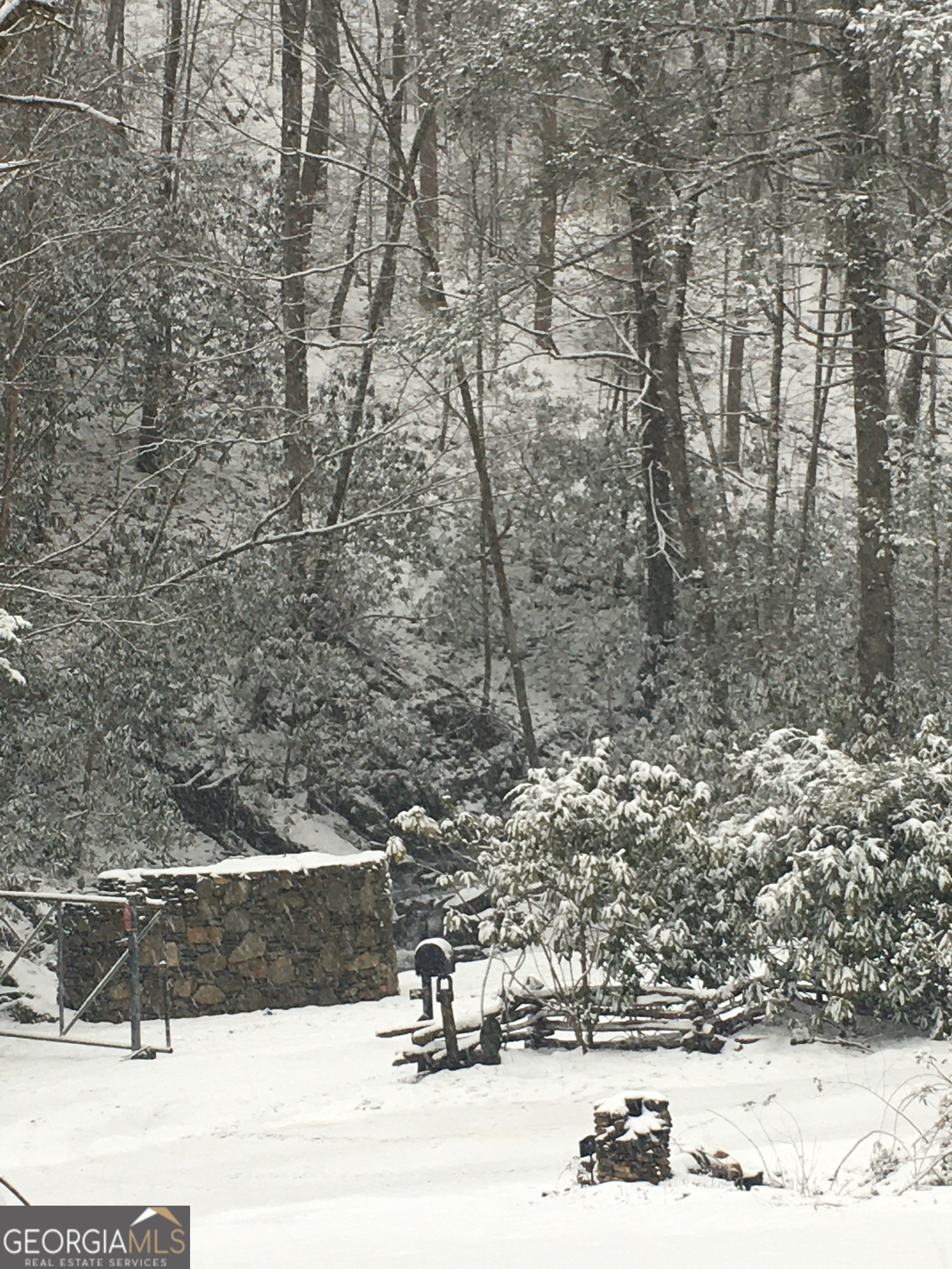 2965 Tate City Road Hayesville, NC 28904 - Photo 47 of 49 a view of outdoor space yard and street