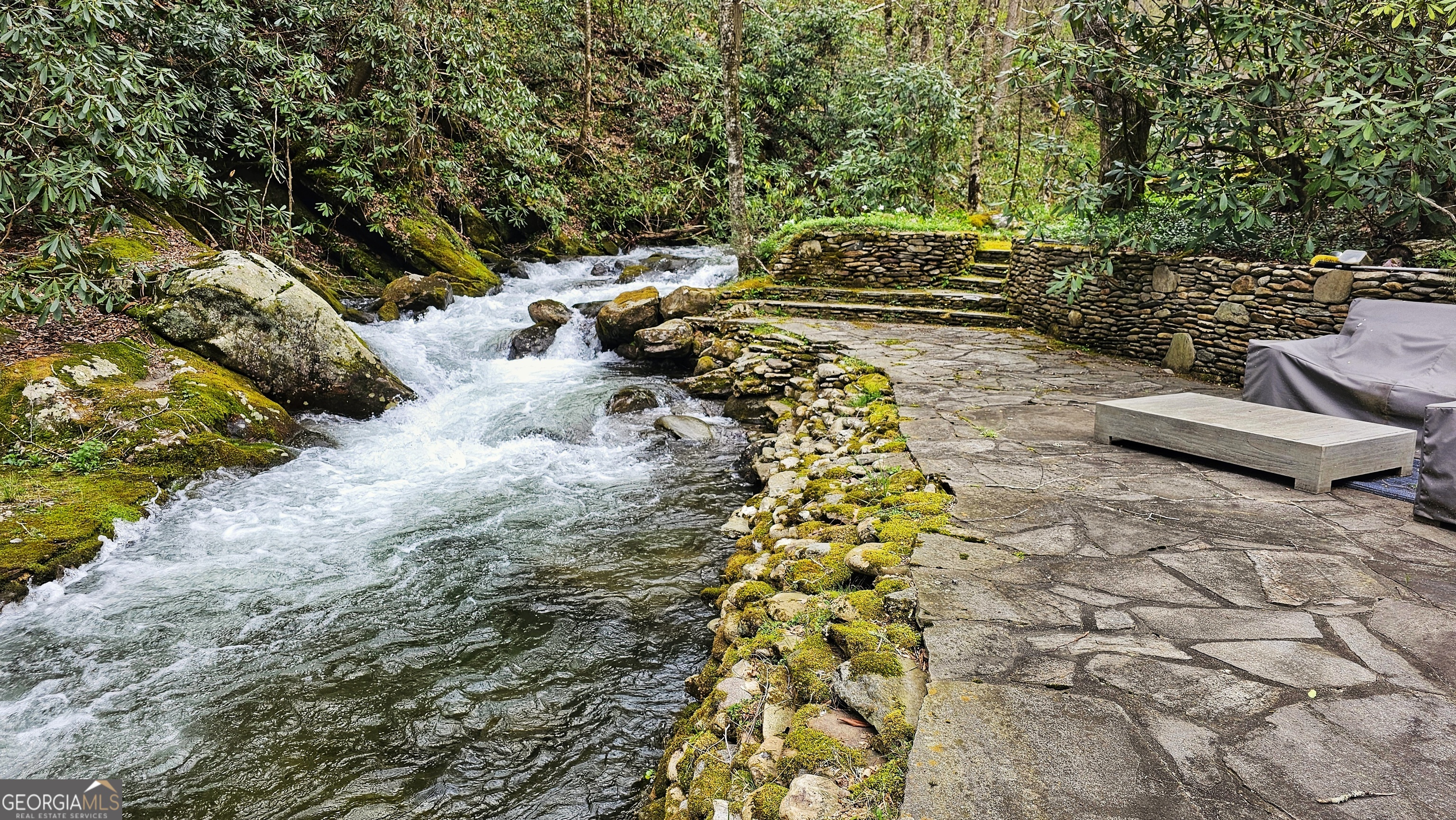 2965 Tate City Road Hayesville, NC 28904 - Photo 10 of 49 a view of a yard with plants