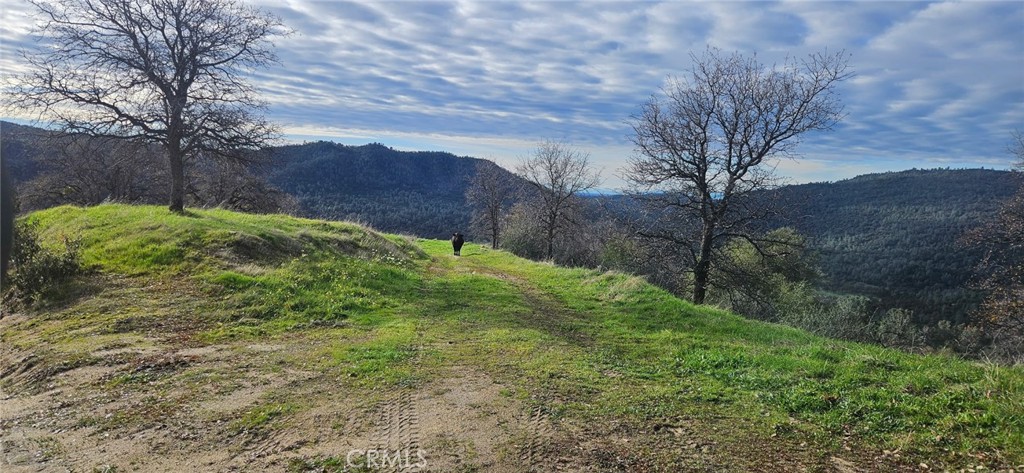 33555 Merrill Ranch Road O'Neals, CA 93645 - Photo 7 of 53