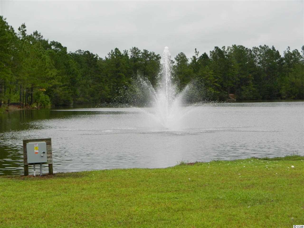 3012 Fiddler Court Loris, SC 29569 - Photo 6 of 25 Gallery Image 6
