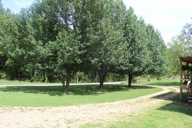 2501 Pleasant Ridge Church Road Adolphus, KY 42120 - Photo 19 of 32 Gallery Image 19