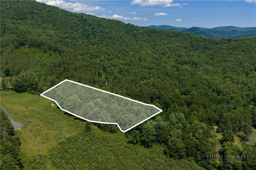 Lot 2 Gusher Knob Road Newland, NC 28657 - Photo 4 of 17