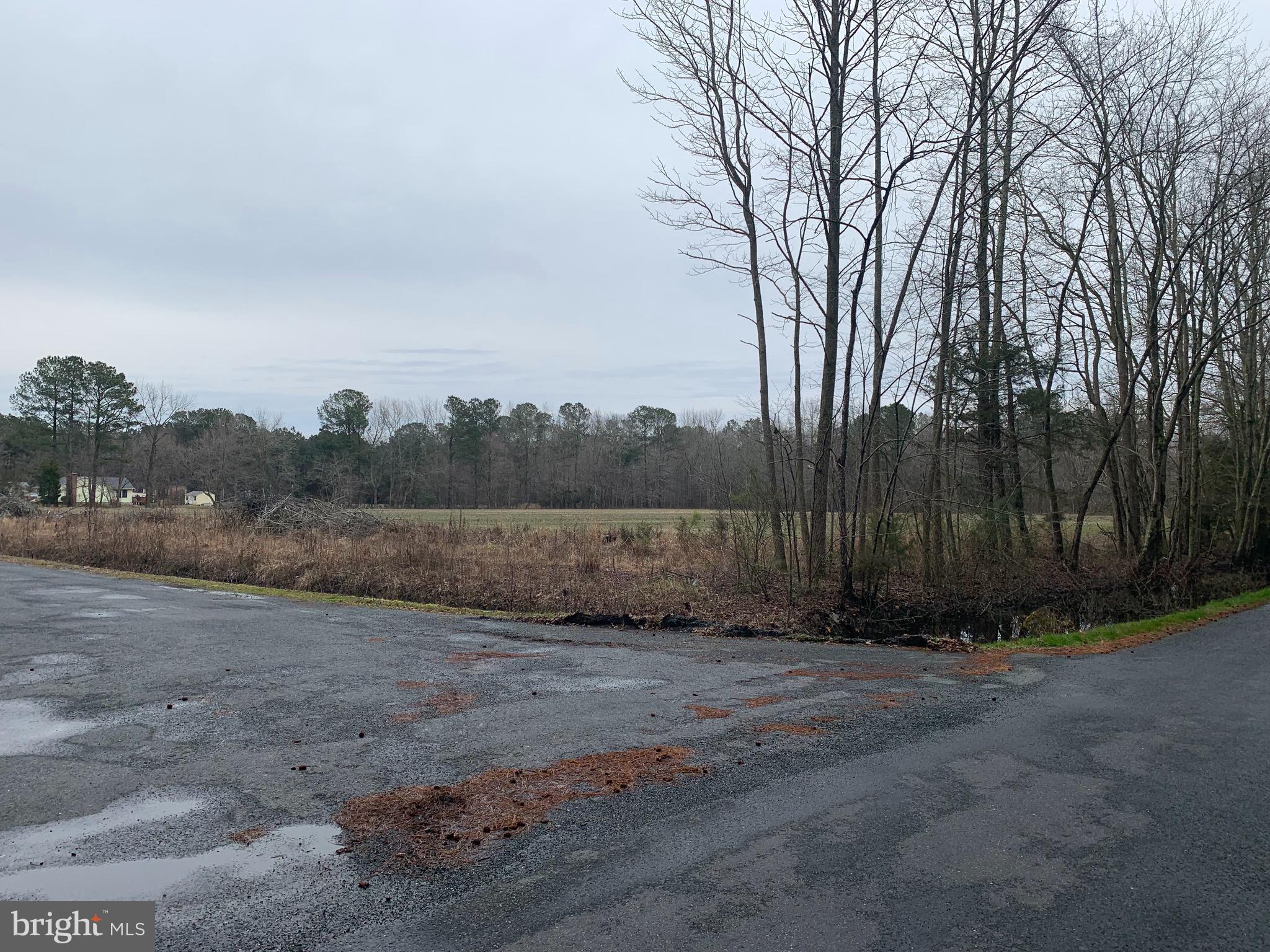 0 River Road Westover, MD 21871 - Photo 1 of 5 Gallery Image 1