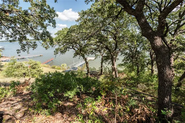 a view of a tree with a yard