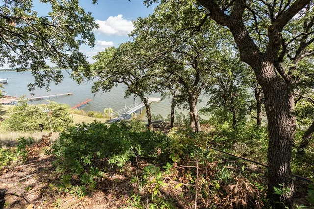 a view of a tree with a yard