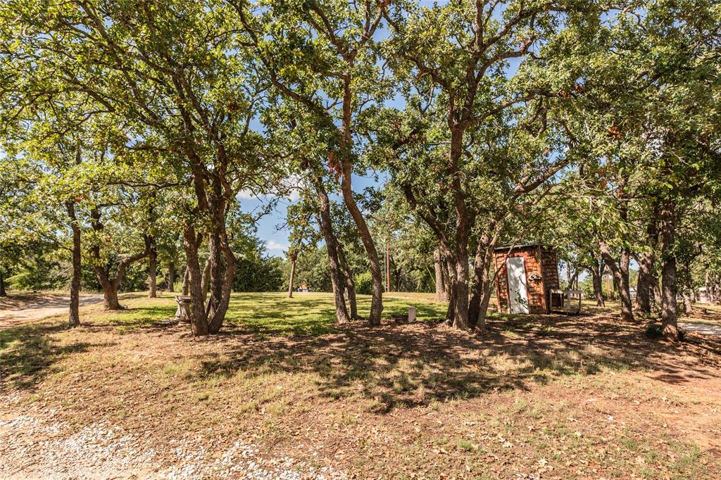 698 Storey Road Nocona, TX 76255 - Photo 9 of 34 a view of outdoor space with trees