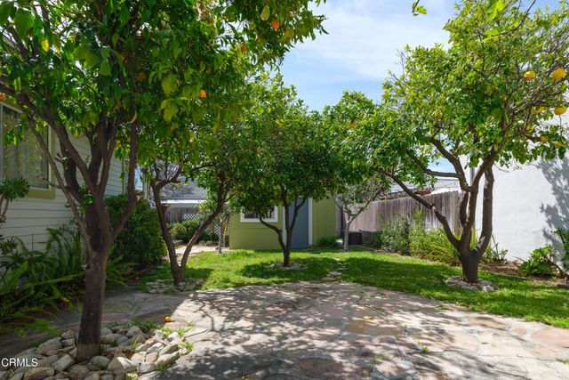 a backyard of a house with lots of green plant